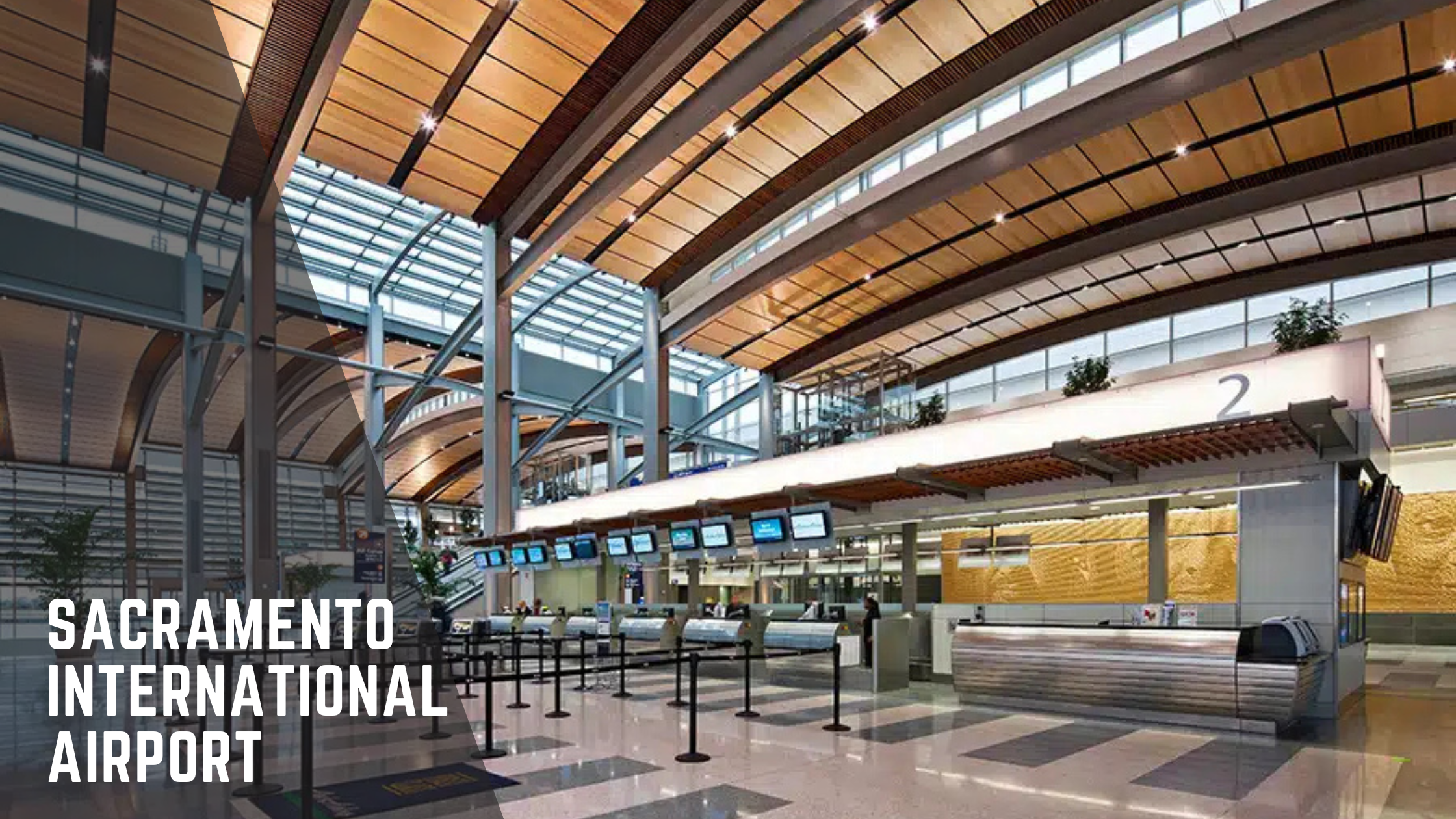 Blog Banner for Website Content 2